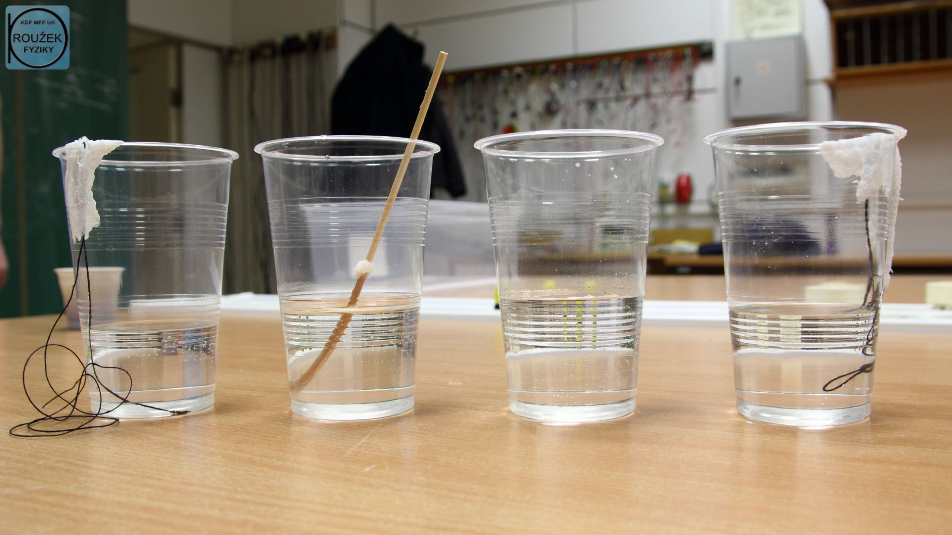 Fotografie: pokračování experimentu s vypařováním solného roztoku